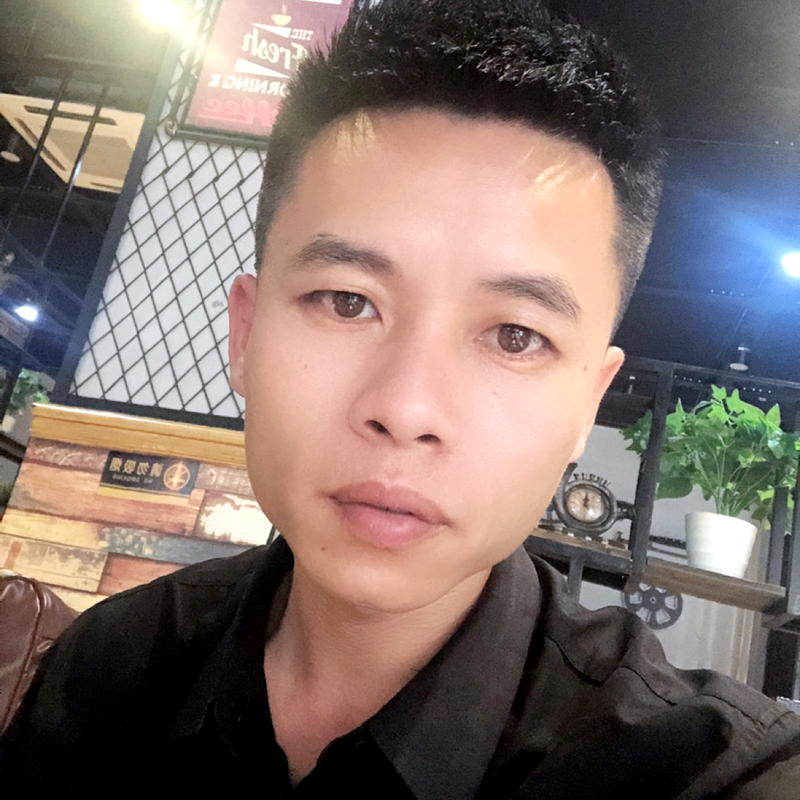 枫叶回首土豪的照片