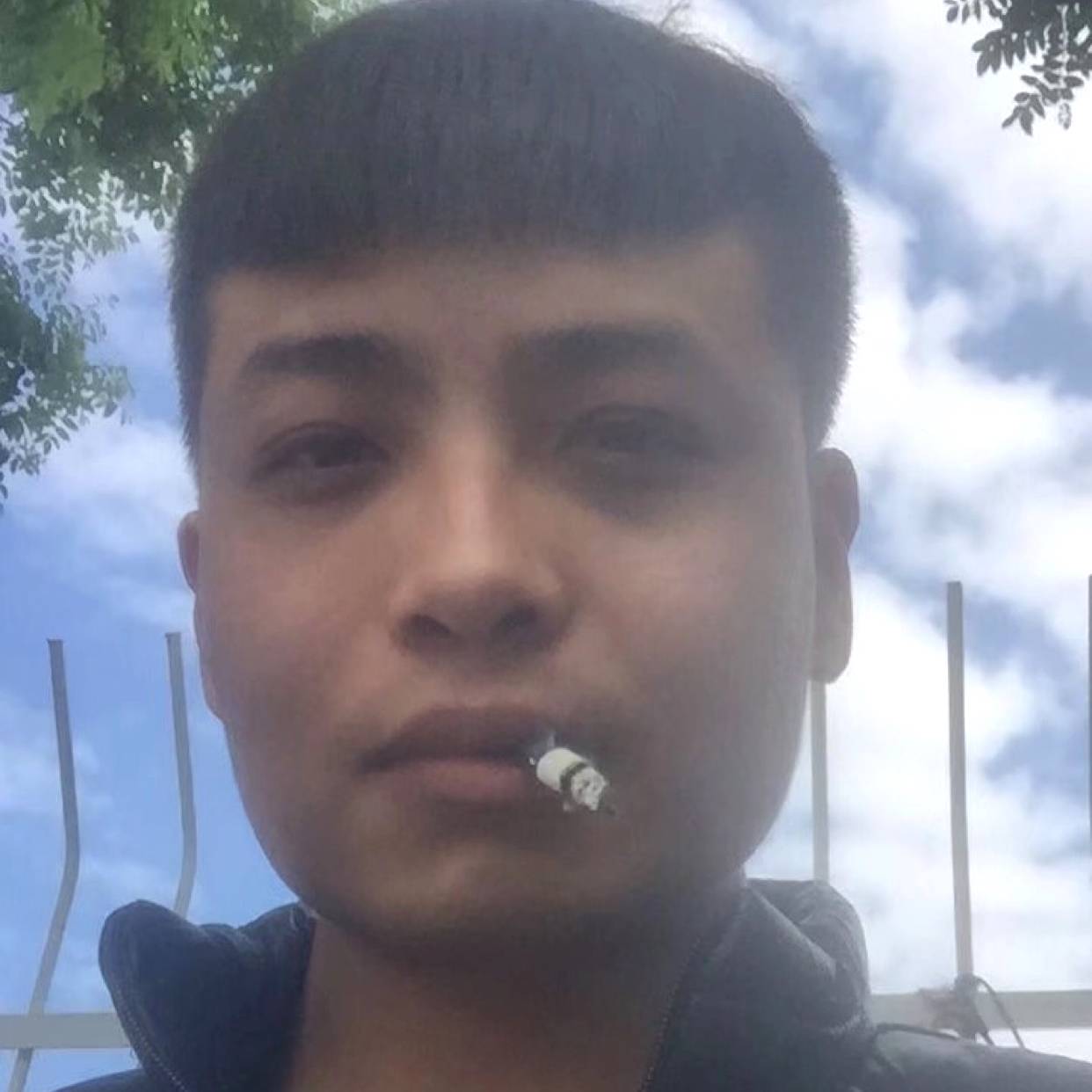 青栀等待贪玩的照片