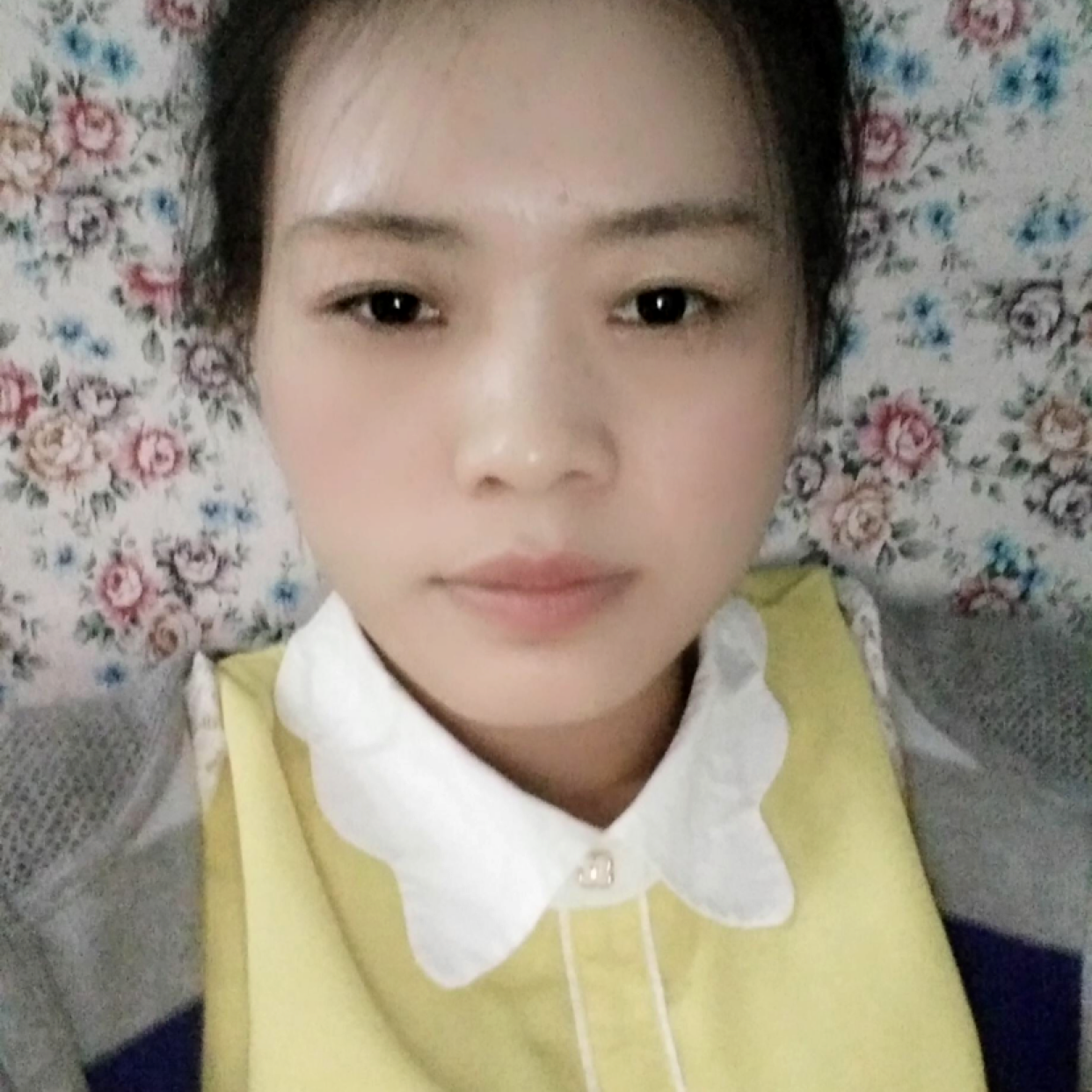 舒服演变龙猫的照片