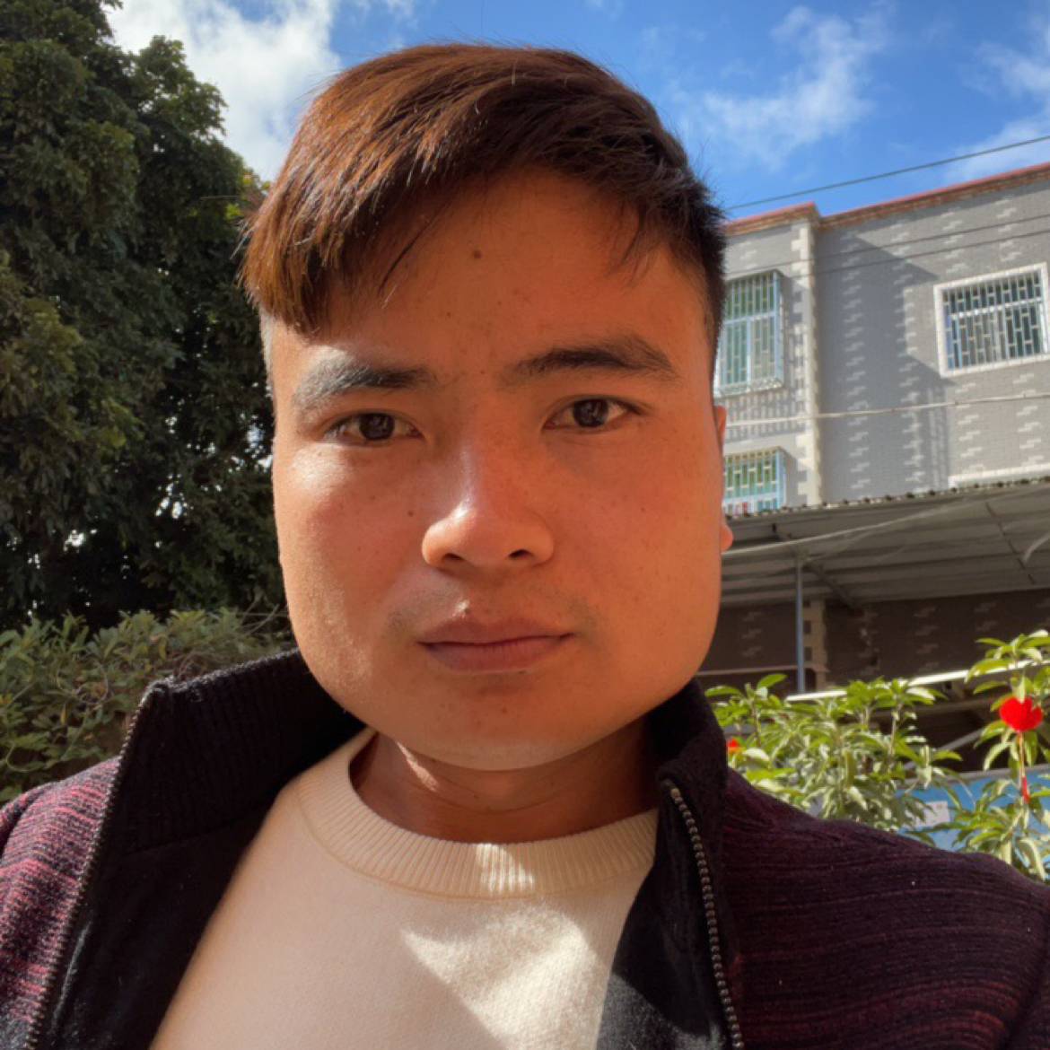 小丑的照片
