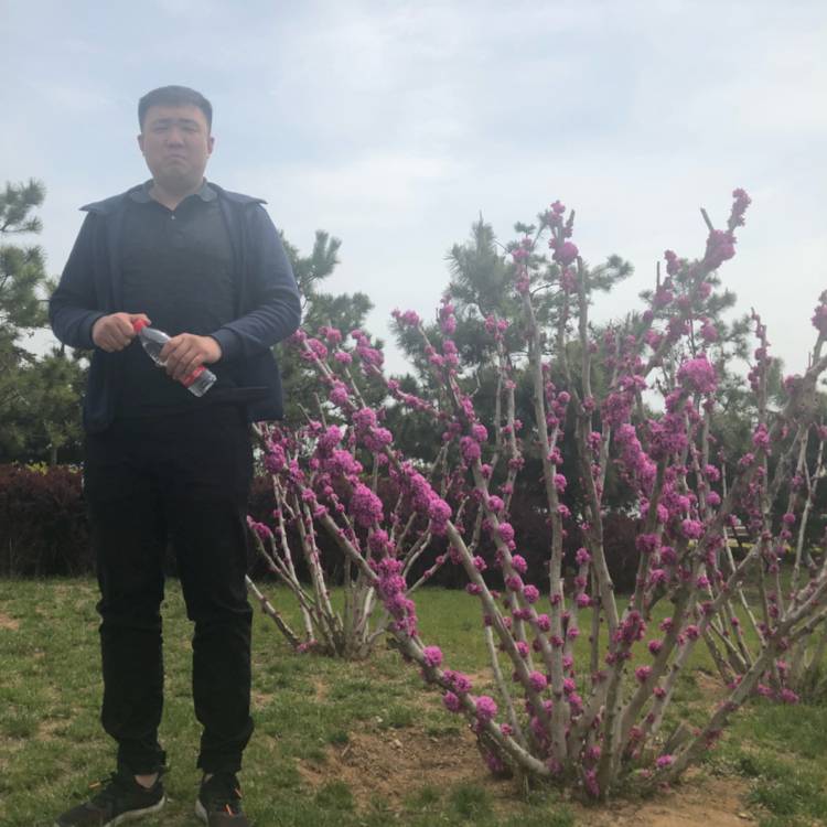 胶州小韩的照片