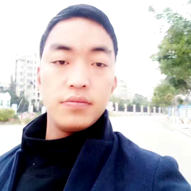 阳光演变人生的照片