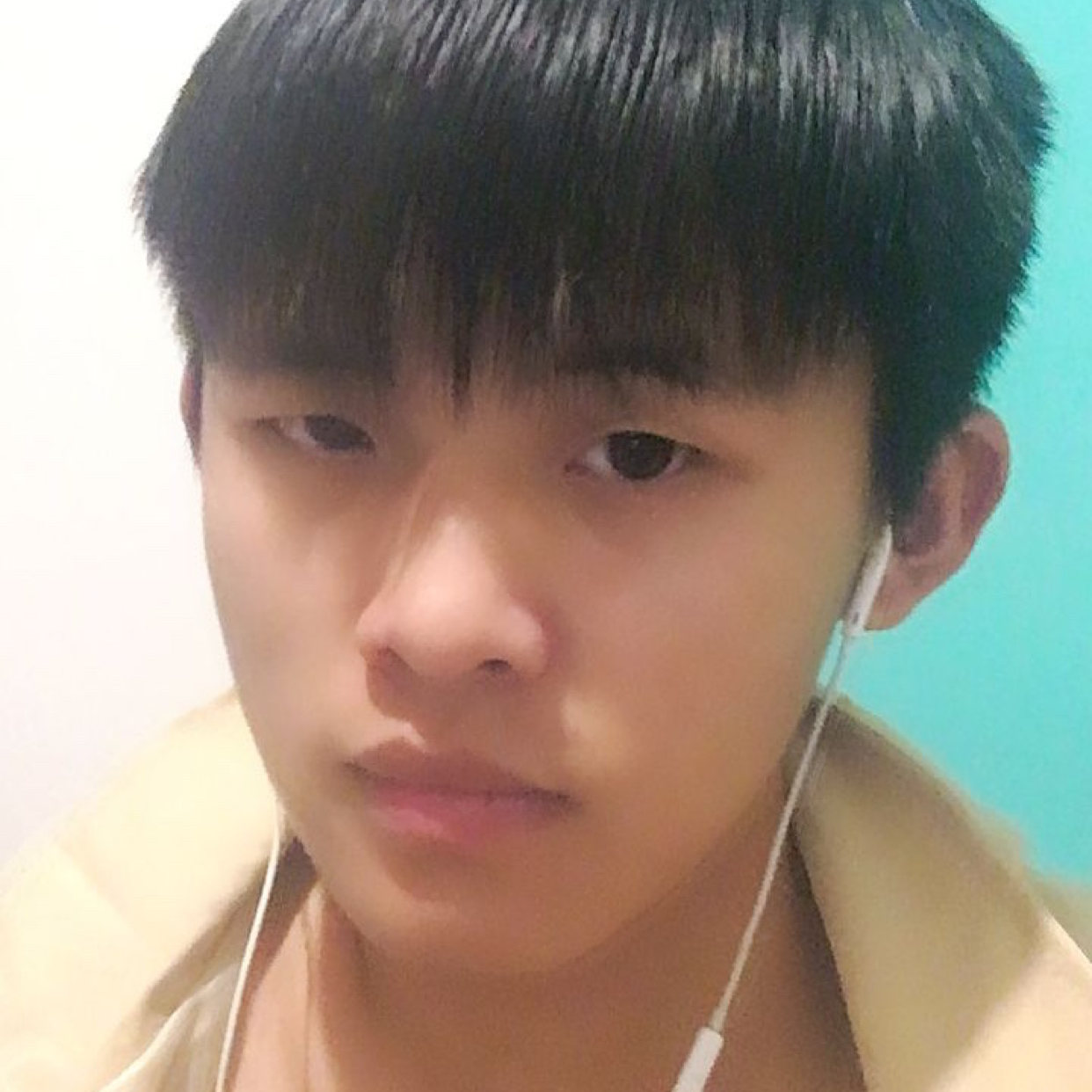柴柒的照片