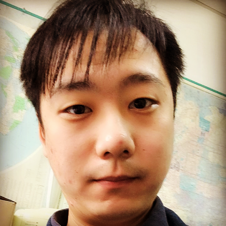 小鸟飞上天了的照片