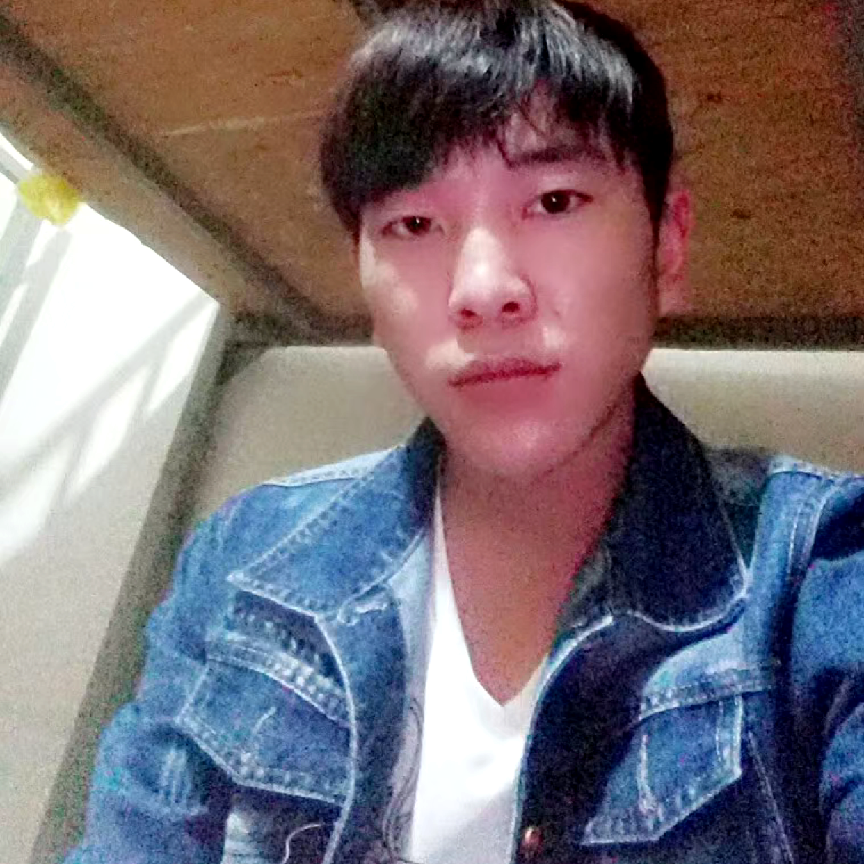 发疯的熊二的照片