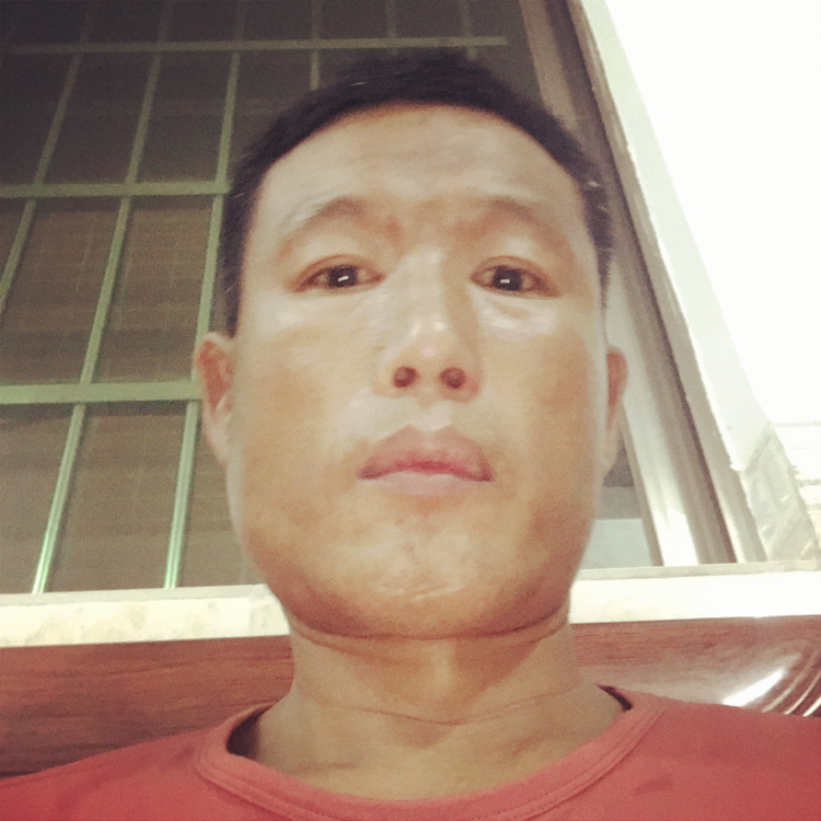 含羞草迎喜悦的照片