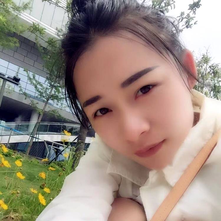 小鸽子给单纯的照片