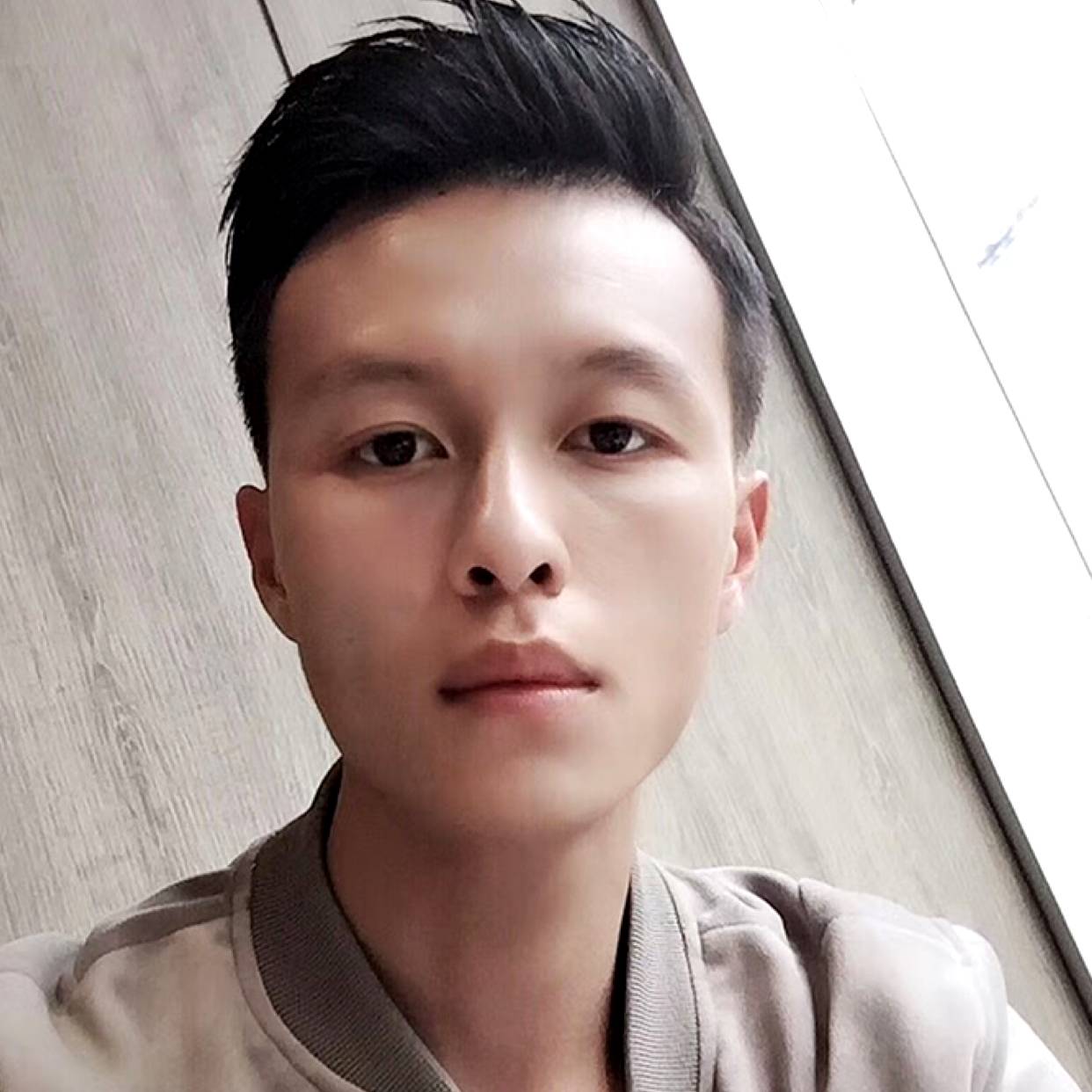 蚂蚁的甜美的照片