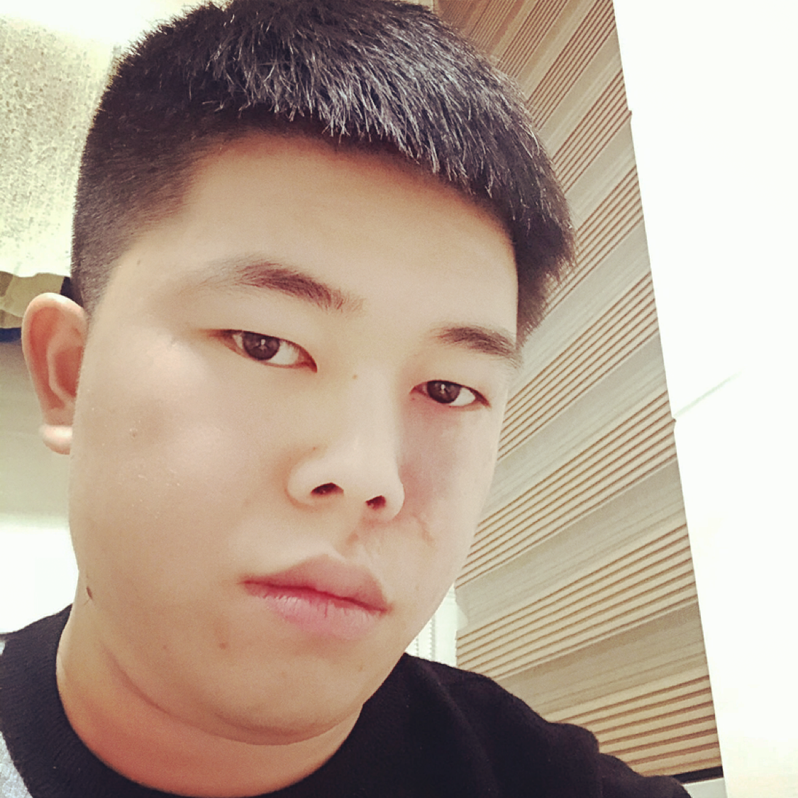 乌龟拿危机的照片