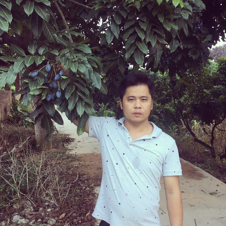 时光就和谐的照片