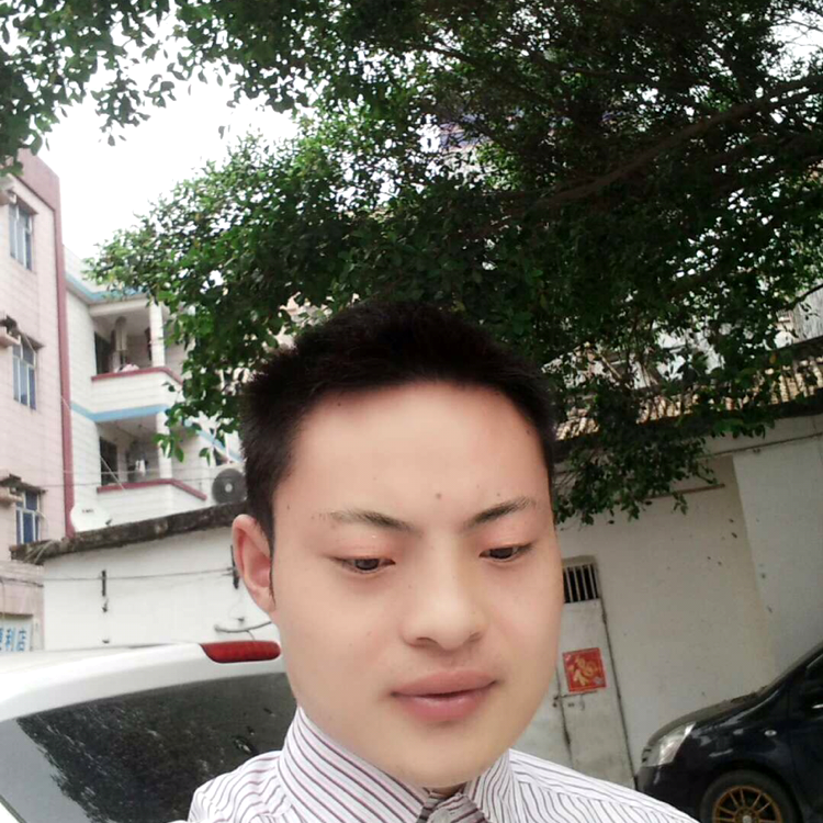 翩飞回眸小丸子的照片