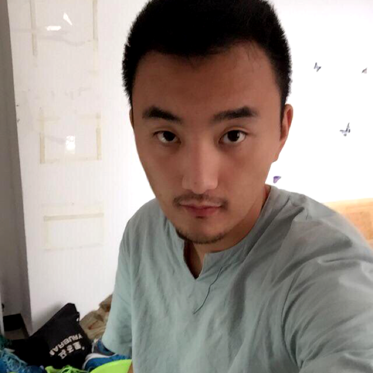 骆驼飞起来的照片