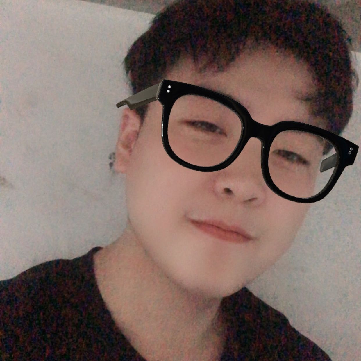 小鸽子爱孤独的照片