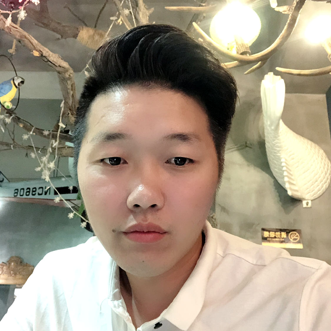 秋月那碧蓝的照片
