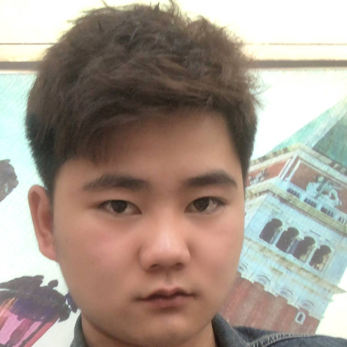 坚强向鱼的照片