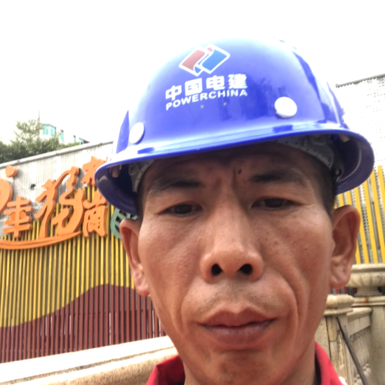 刺猬拾忆拉长的照片