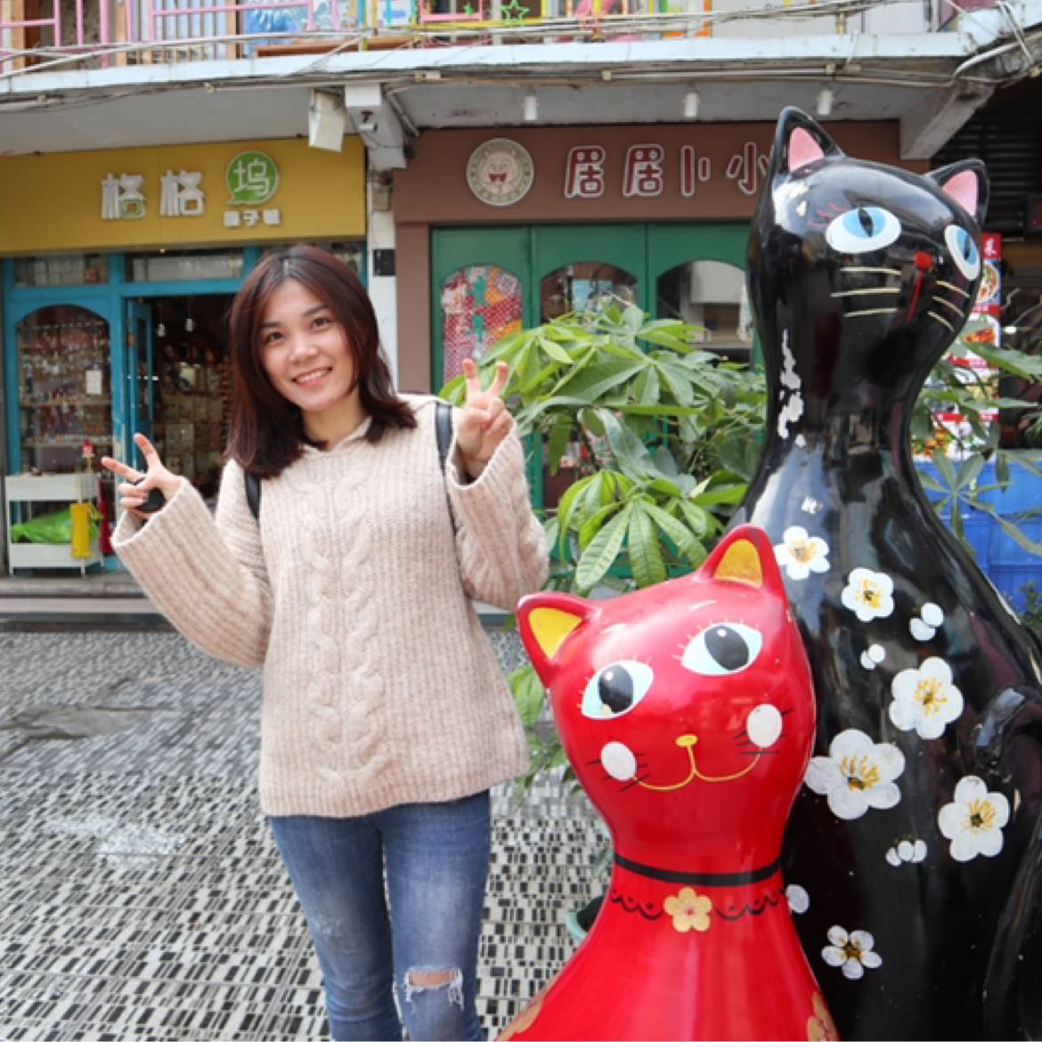 小天鹅多么贪玩的照片