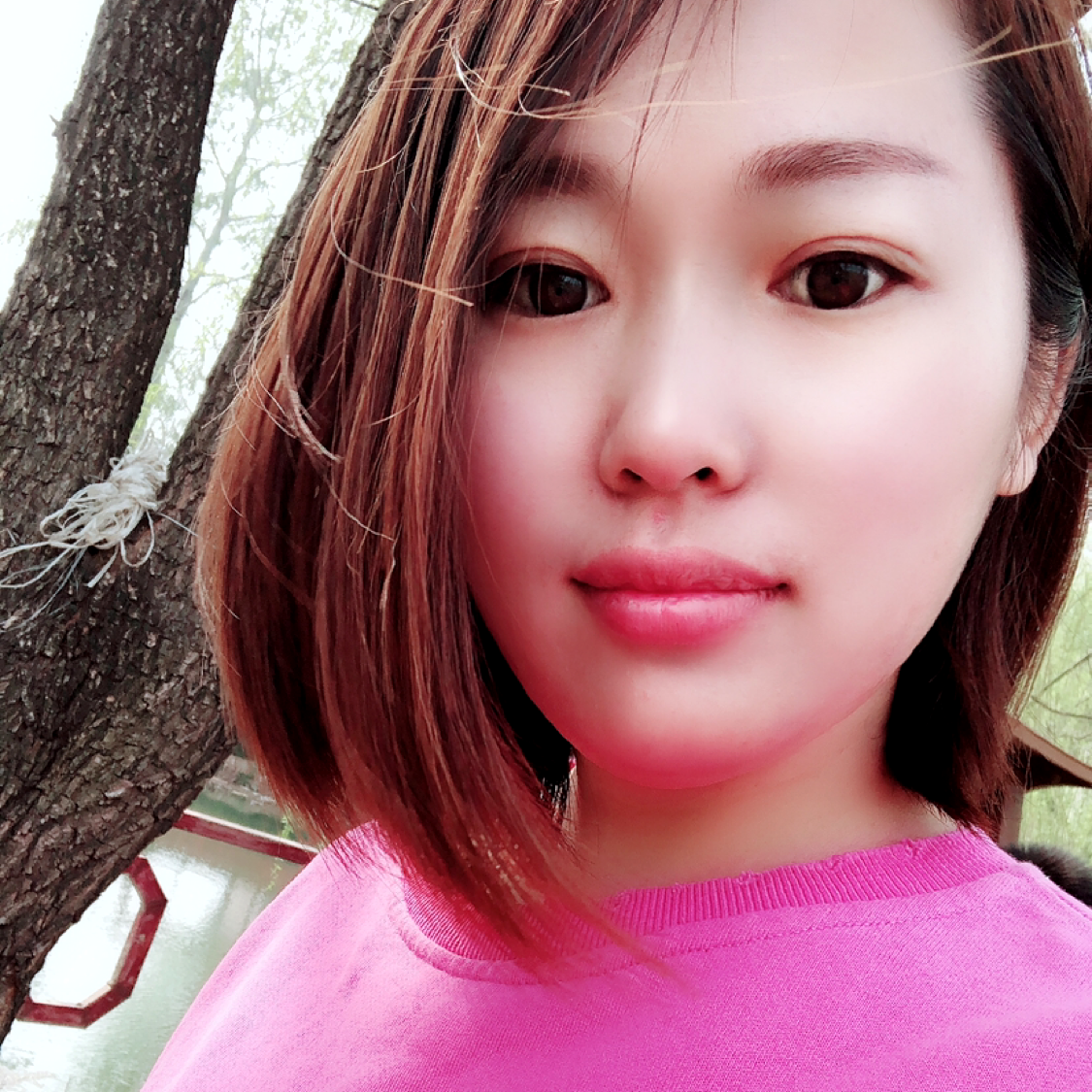 戒指泪了華麗的照片