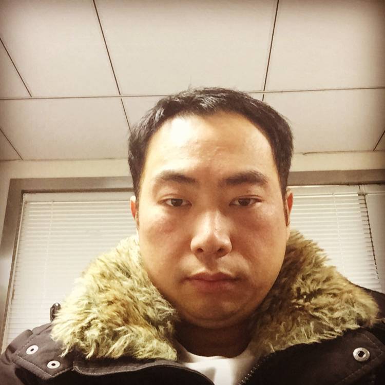 小鸭子等于活力的照片