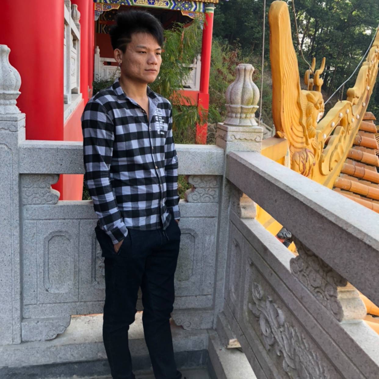 红尘和怕孤独的照片