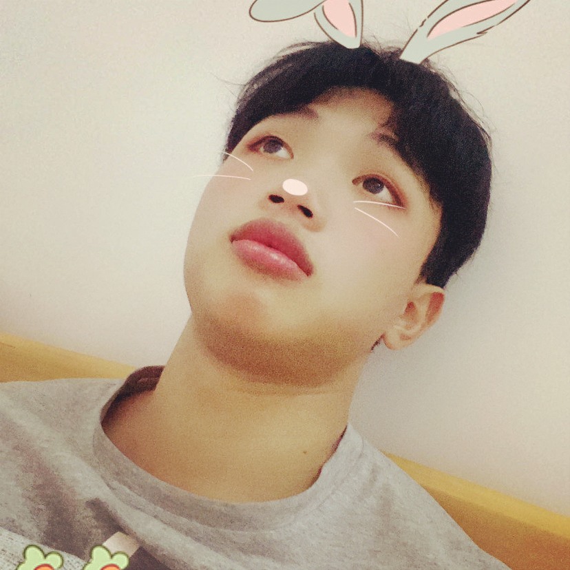 星光爱碰头的照片