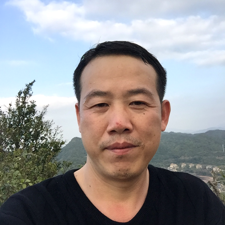 清爽的便当的照片