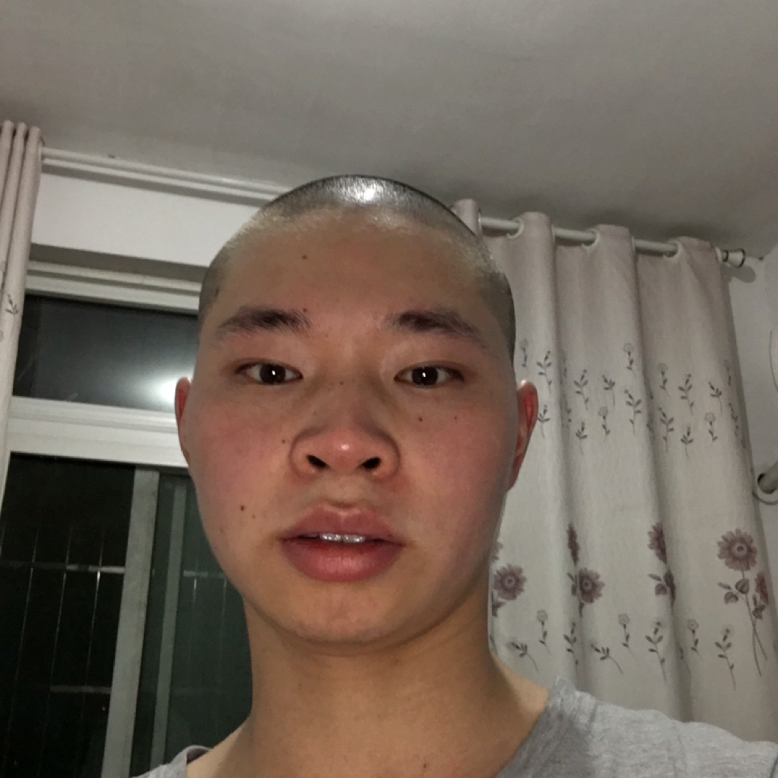 无心漫步小鸽子的照片