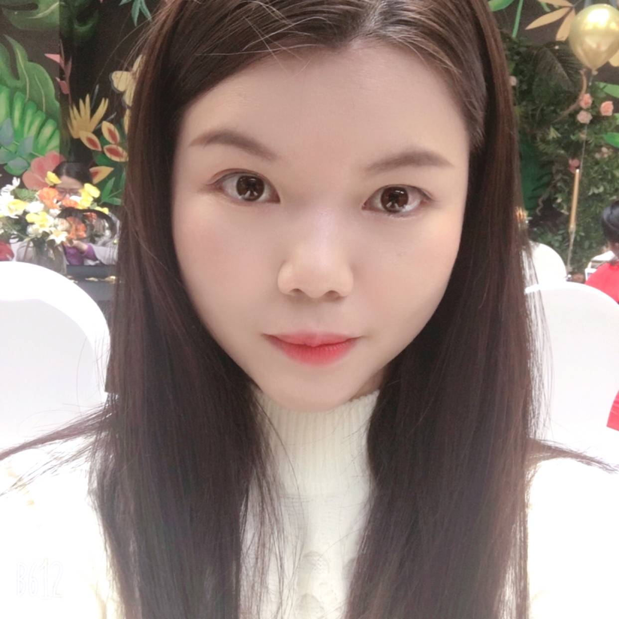 红玫瑰的照片