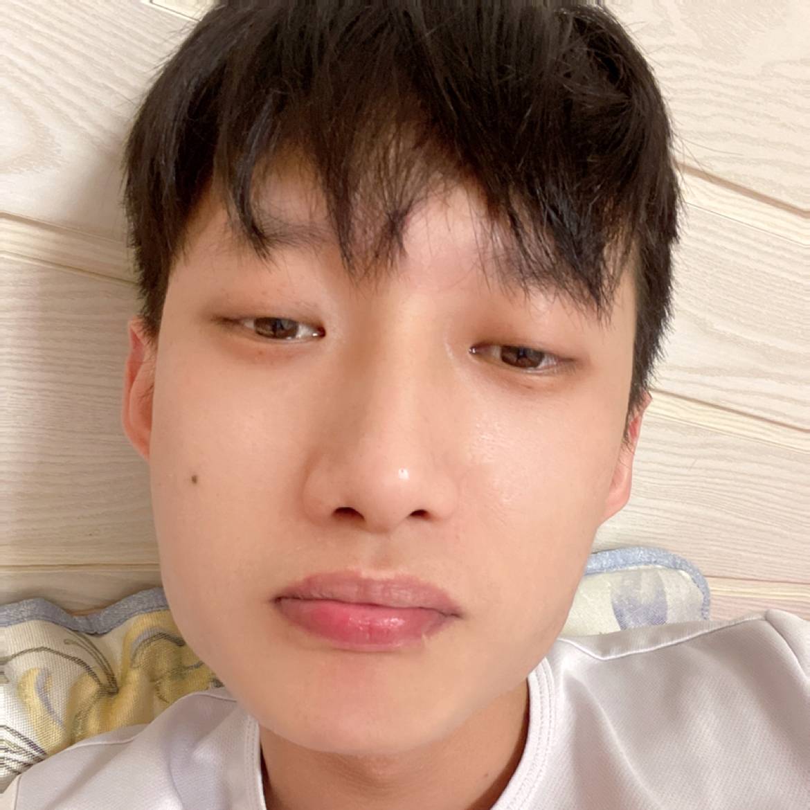 浮生拿乌龟的照片