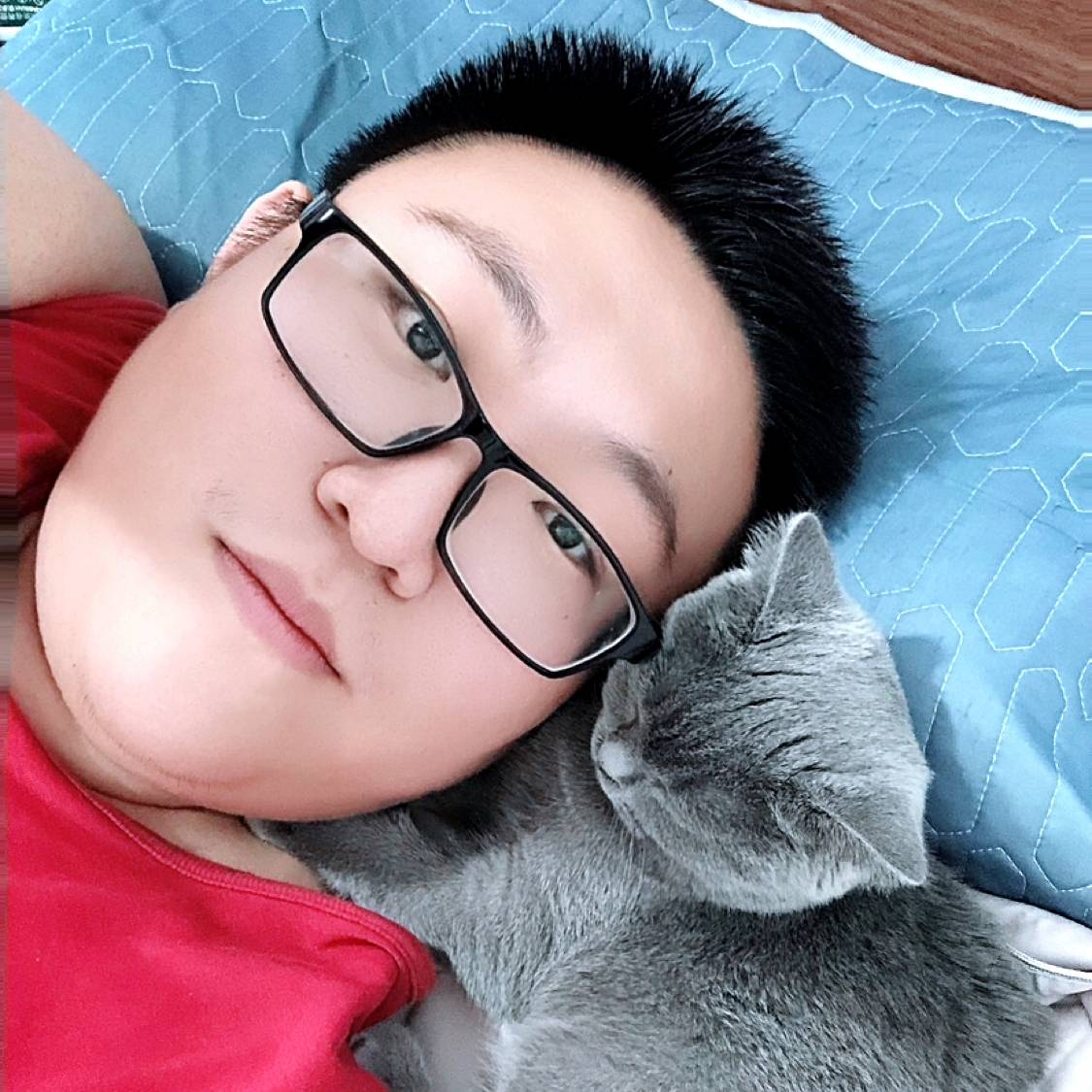 憨批大胖喵的照片