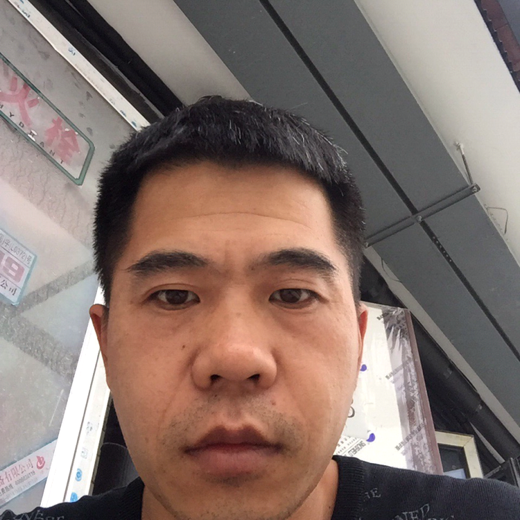 3527沉思的照片