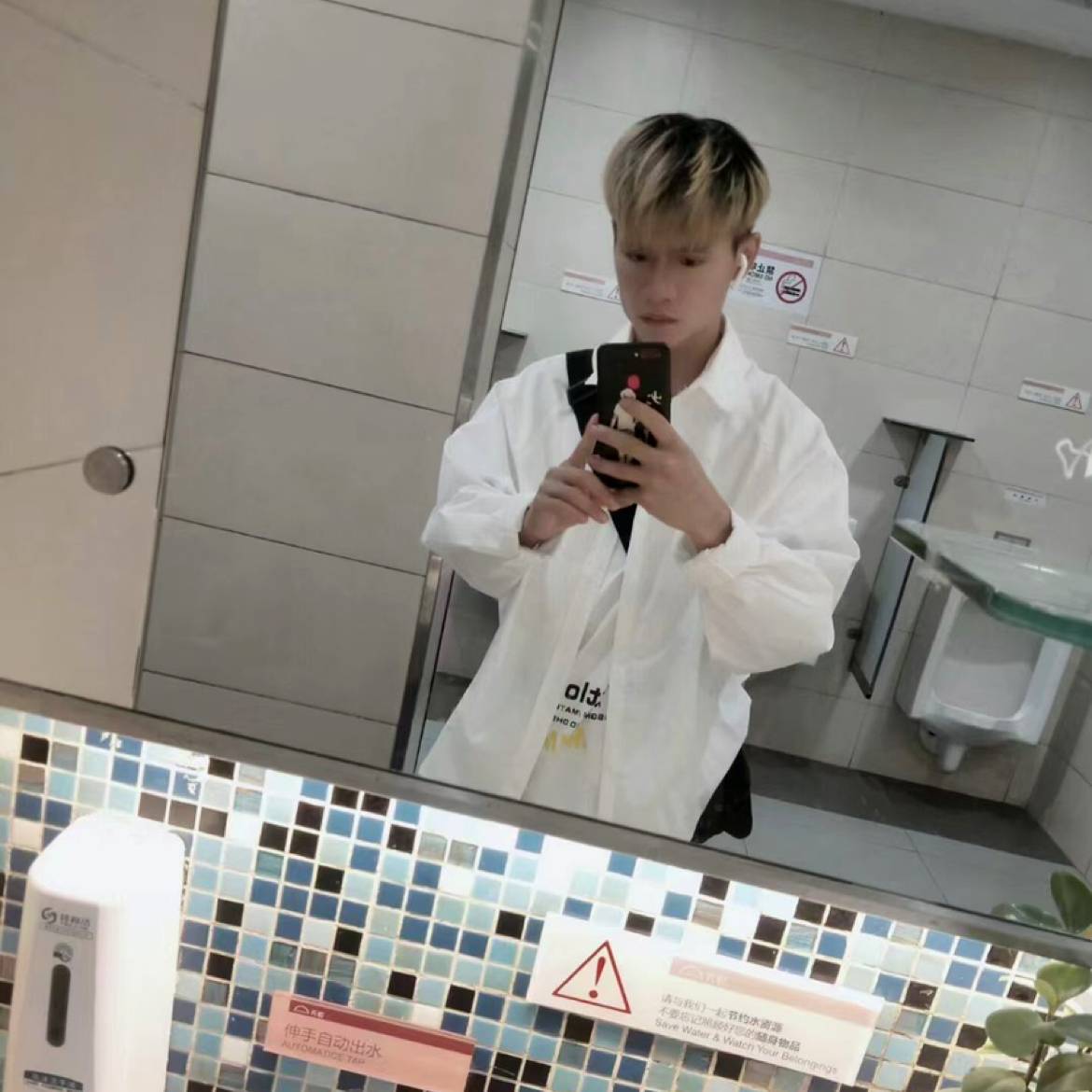 羊有昏睡的照片