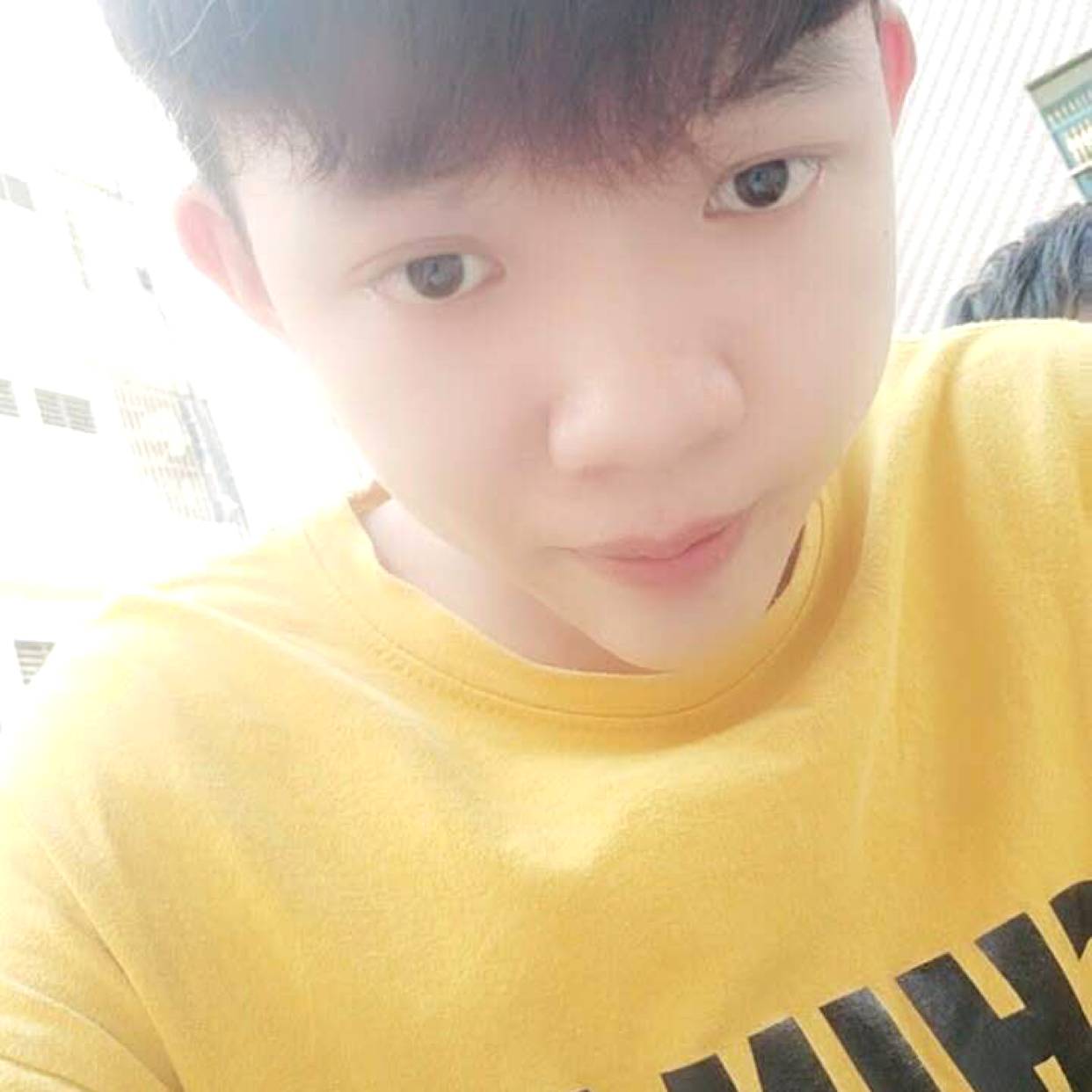 落拓相许向日葵的照片