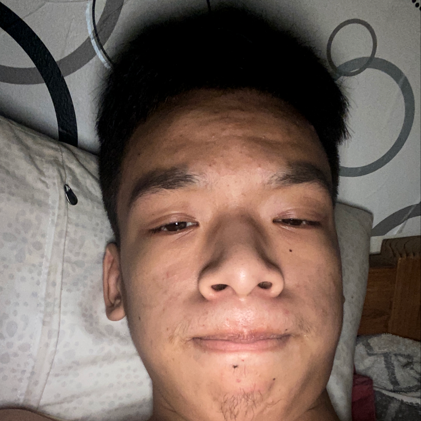陆生活的照片