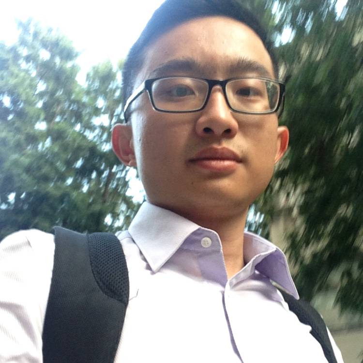阳光fibd的照片