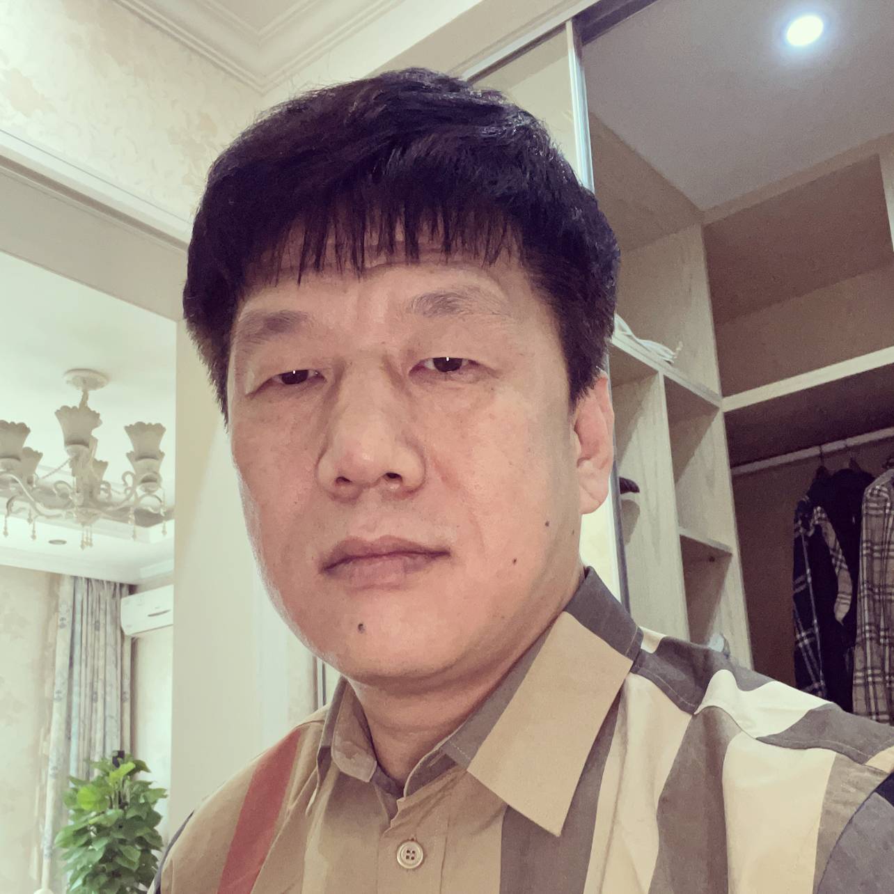 虚心吃醋羽毛的照片