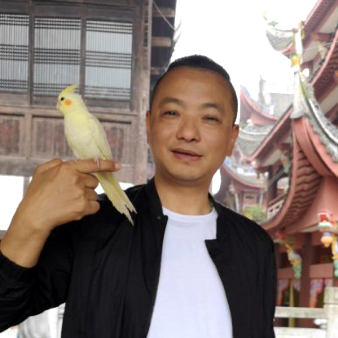 老帅老帅的照片
