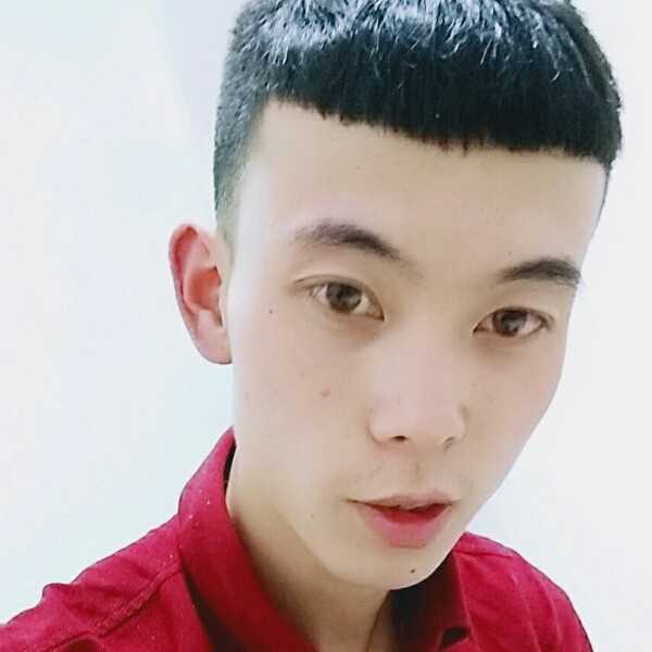 舒适机器猫的照片