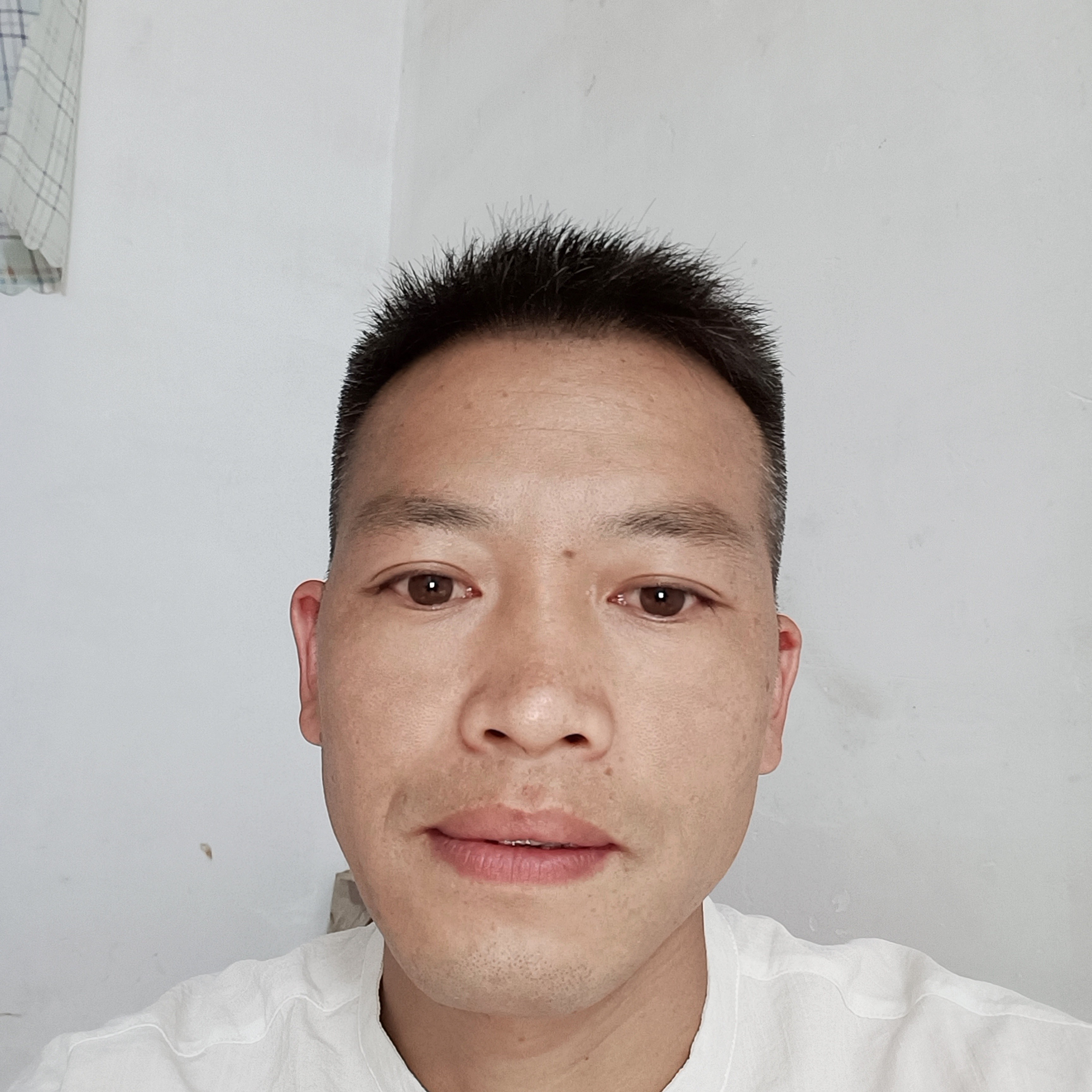 小懒虫漫步哭泣的照片
