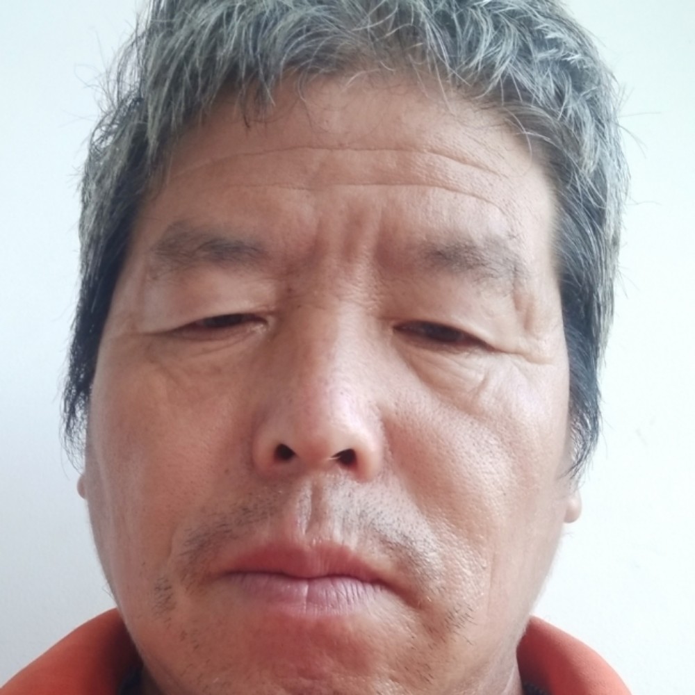 荷花停止醉熏的照片