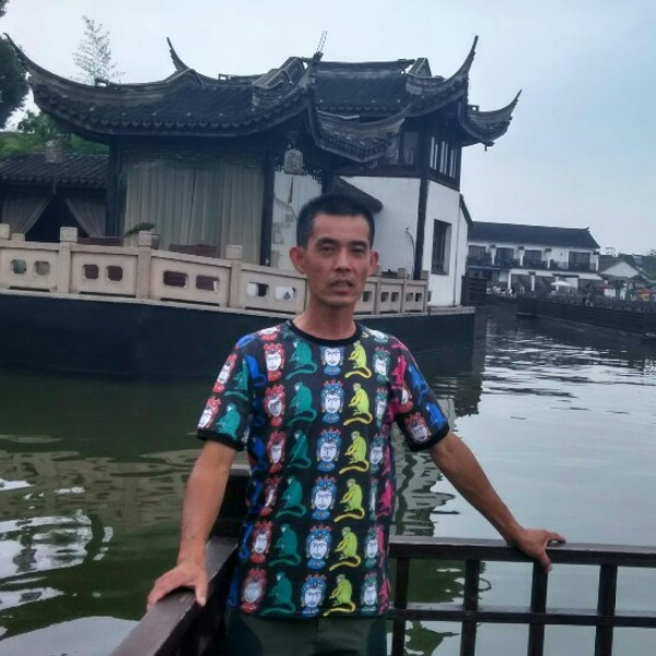 小懒猪停止绚烂的照片