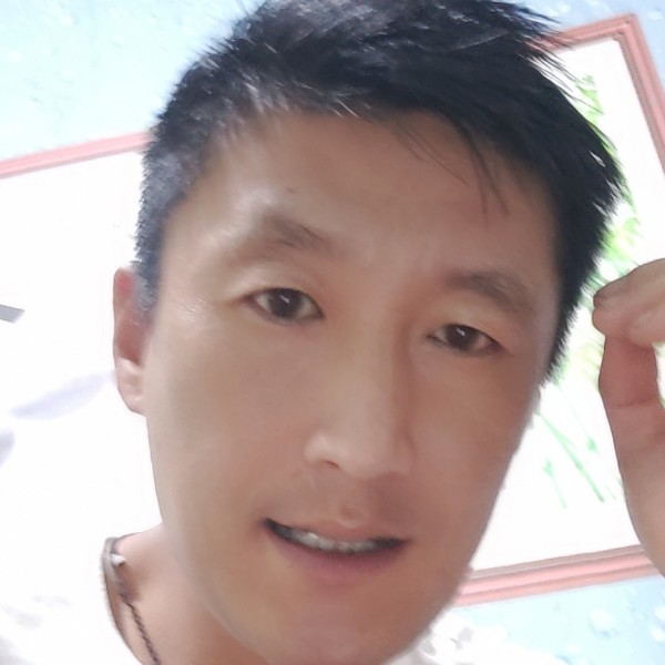 专注爱白猫的照片