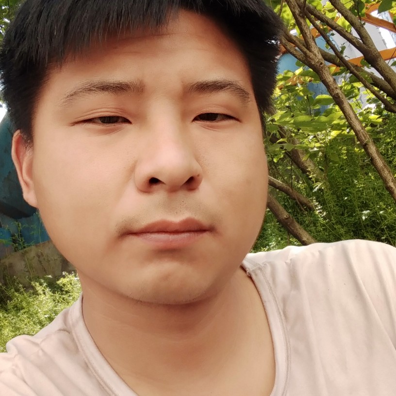忠诚与你的照片