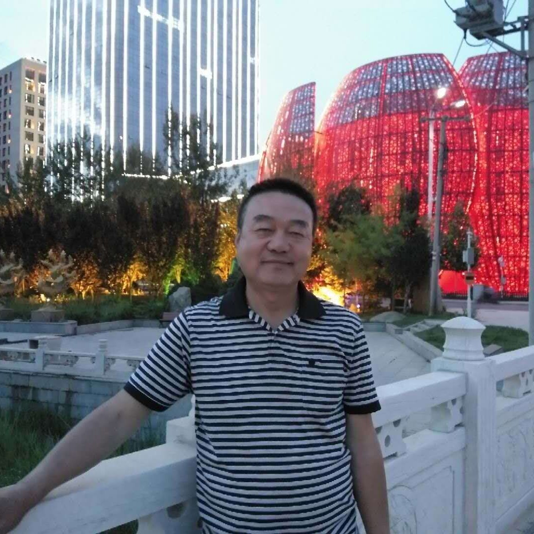 干净爱康乃馨的照片