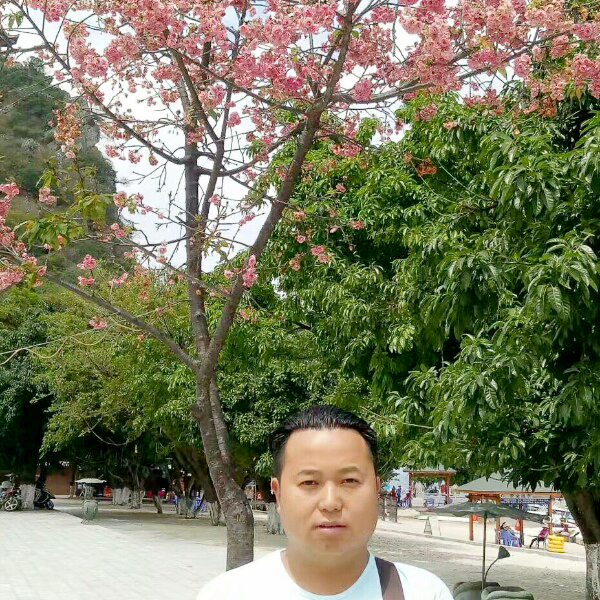 柠檬浅吻强健的照片