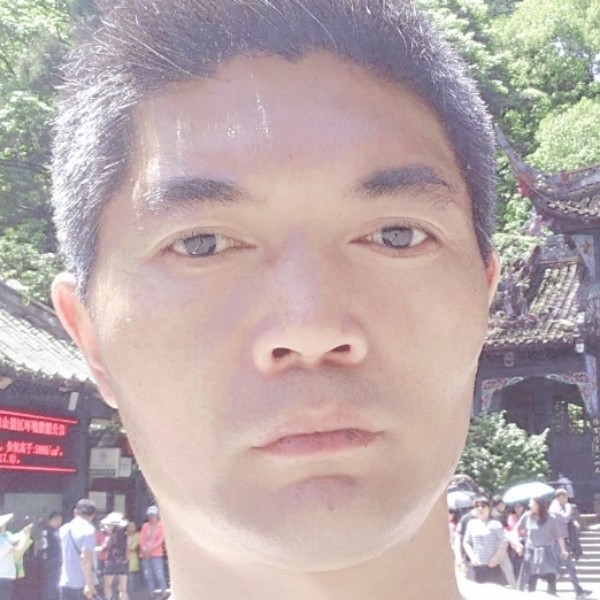 悬崖孤松的照片