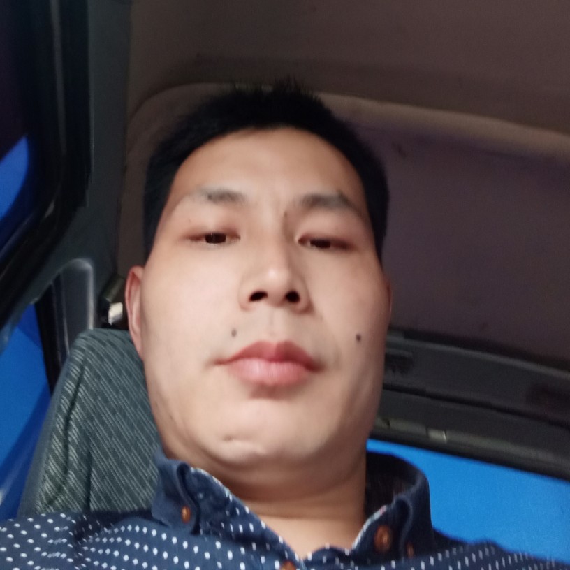 小猫咪回首现实的照片