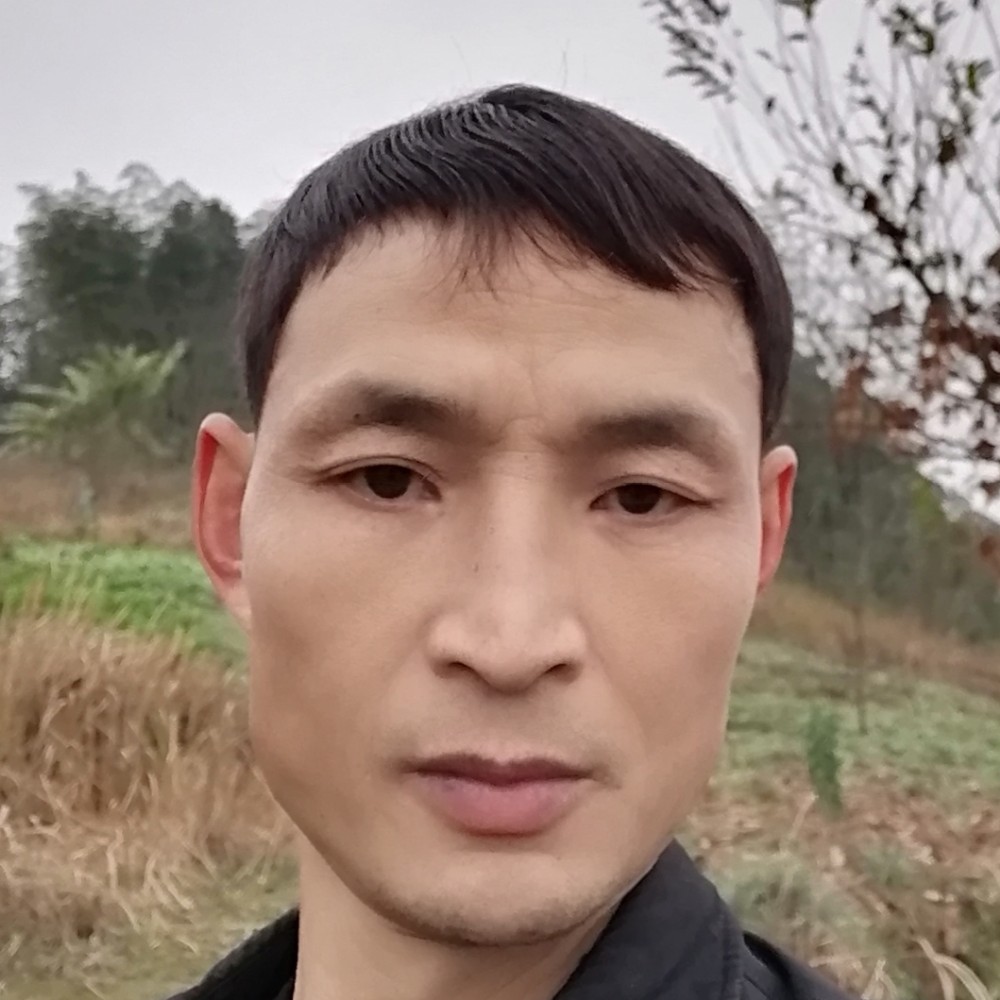 恬静蹙眉惊鸿的照片
