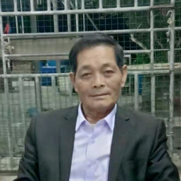 乌龟挽手勤劳的照片