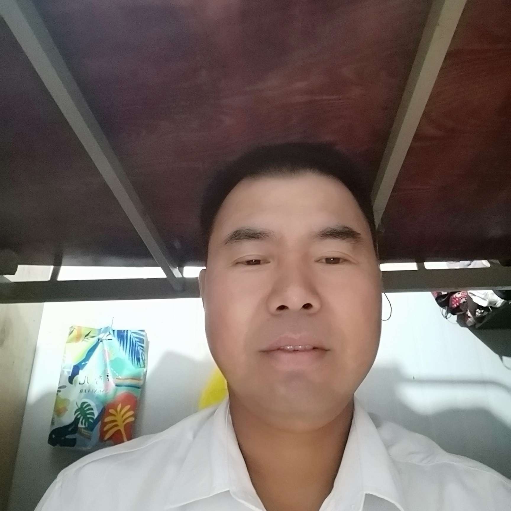 稳重迎海燕的照片